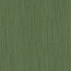 The Cuban Bar Cabinet, Forest interior
